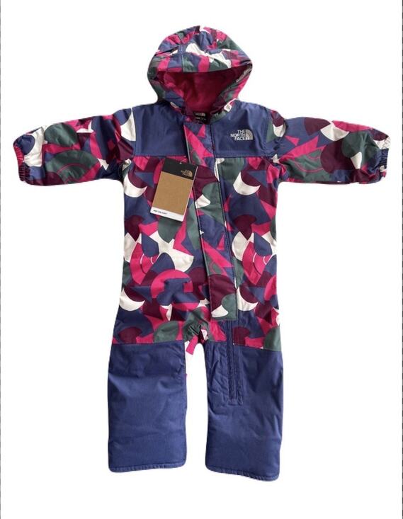 The North Face Other - North Face Baby 3-6 M Freedom Insulated Snow Suit NWT Pink One Piece Snowsuit